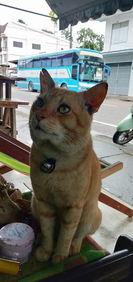 מלון פראצ'ואפ קירי קאן Baan Klang Soi מראה חיצוני תמונה